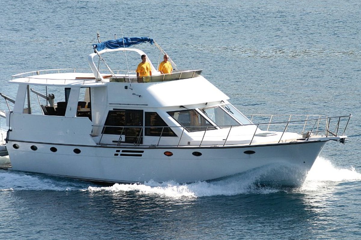 Staryacht 1940, Viva La Libertad 