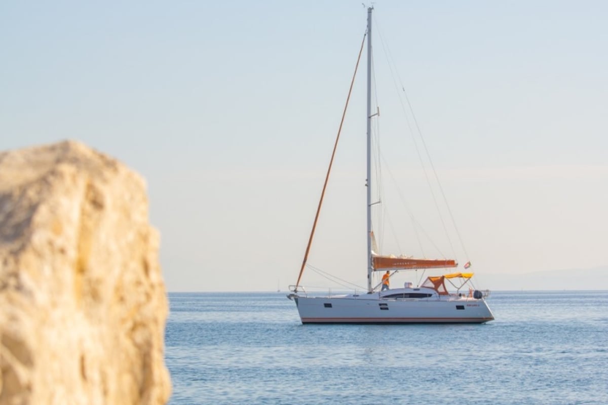 Elan Impression 45, LION 
