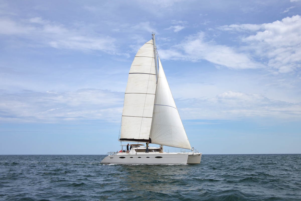 Eleuthera 60, Whale