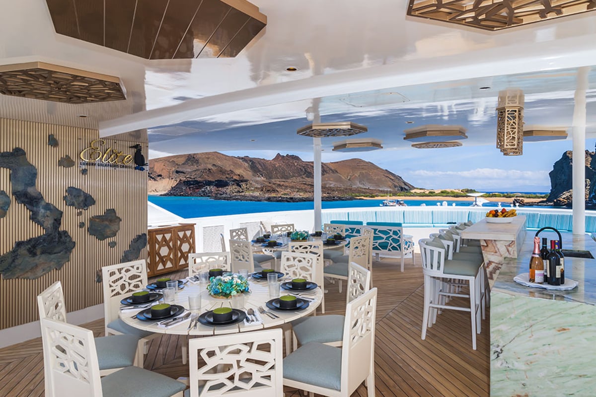 Power Catamaran, Elite - Cabin 6