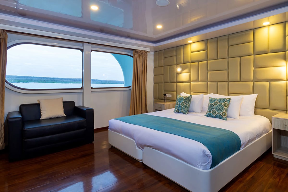 Power Catamaran, Petrel - Cabin 6
