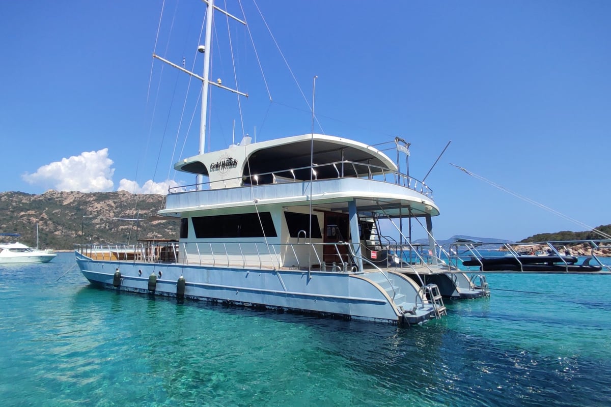 Catamaran, Gold Wind